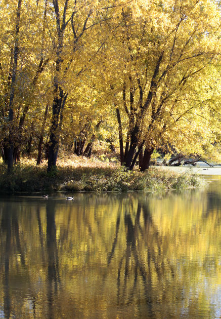 101314bp-fall-color-package-15